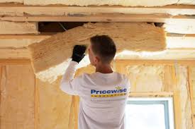 Best Garage Insulation  in Kent Acres, DE